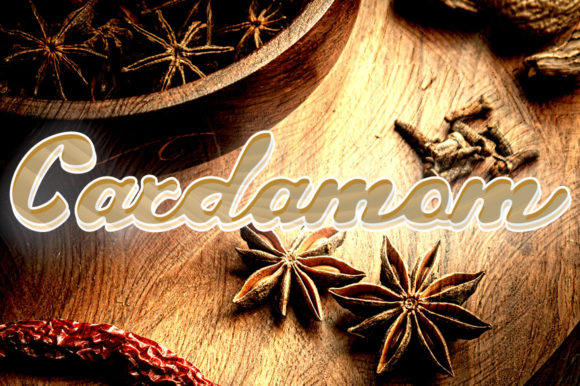 Cardamom: A Delicate Script Handwritten Font for Elegant Branding
