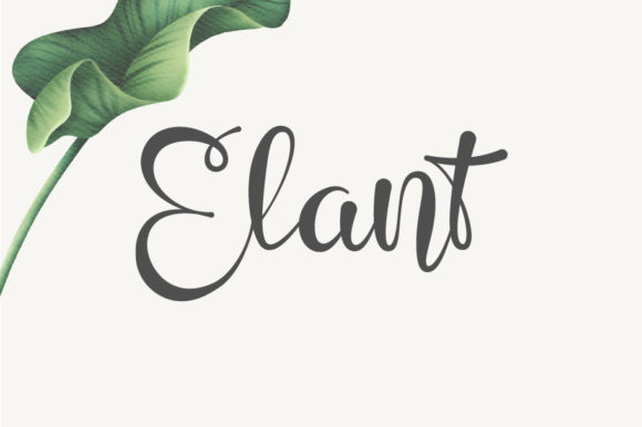 Elant Script Font Review for Editorial Design