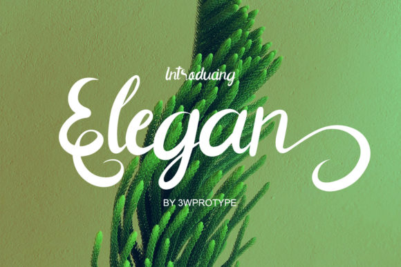 Elegan Script Font for Professional Branding and Design